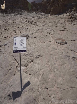 Timna-Copper mines-004