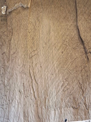 Timna-Other engravings-010