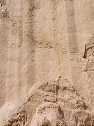 Timna-Other engravings-012