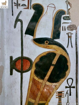 QV66-Nefertari-Burial Chamber-Entrance West Wall-006