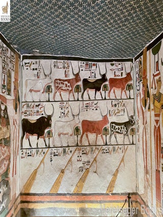 QV66-Nefertari-Outer Hall Side Chamber-South Wall-001