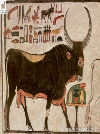 QV66-Nefertari-Outer Hall Side Chamber-South Wall-010