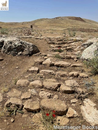 Karahantepe-General Views-004