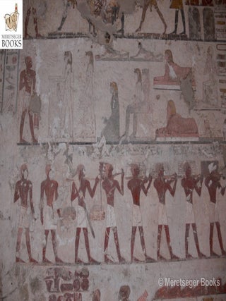 TT100-Rekhmire-009