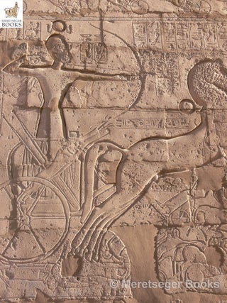 Ramesseum-078