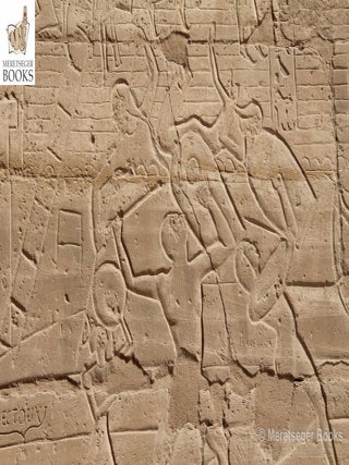 Ramesseum-089