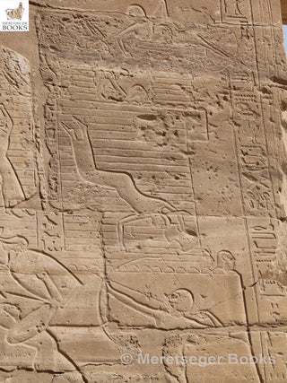 Ramesseum-092