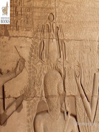 Ramesseum-100