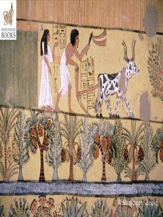 TT1-Sennedjem-022