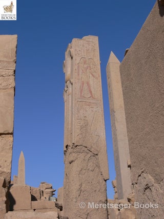 Karnak-From 3rd to 6th pylon-006