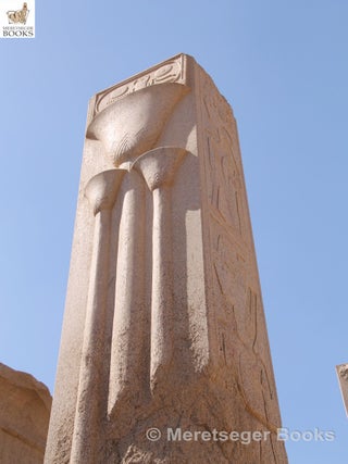 Karnak-From 3rd to 6th pylon-012
