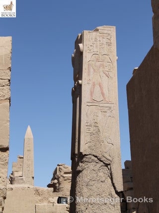 Karnak-From 3rd to 6th pylon-014