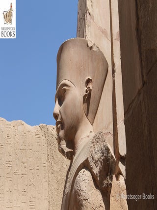 Karnak-From 3rd to 6th pylon-018