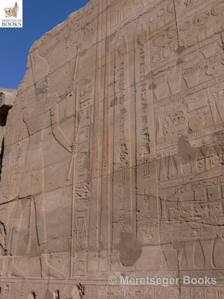Karnak-From 3rd to 6th pylon-020