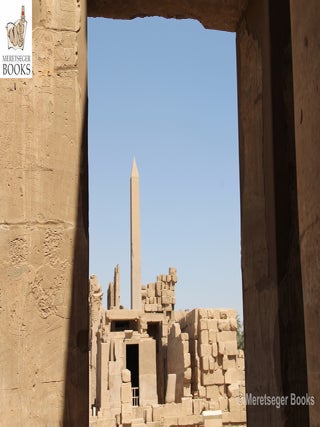Karnak-From 3rd to 6th pylon-028