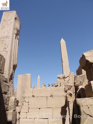 Karnak-From 3rd to 6th pylon-029