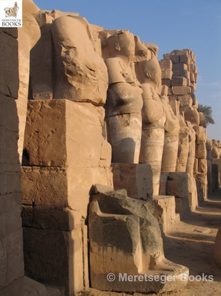Karnak-From 3rd to 6th pylon-032