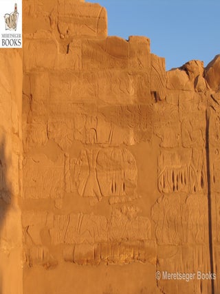Karnak-From 3rd to 6th pylon-039