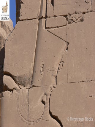 Karnak-From 3rd to 6th pylon-048