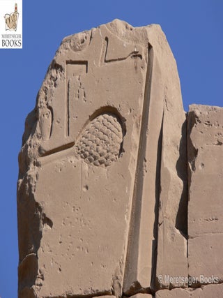 Karnak-From 3rd to 6th pylon-049