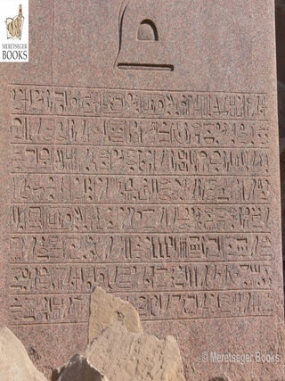 Karnak-Obelisks-011