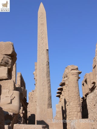 Karnak-Obelisks-013