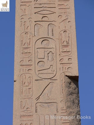 Karnak-Obelisks-014