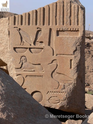 Karnak-Obelisks-017