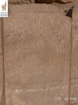 Karnak-Botanical garden-004