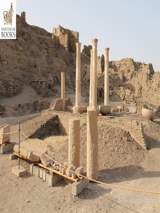 Medinet Habu-House of Butehamun-004
