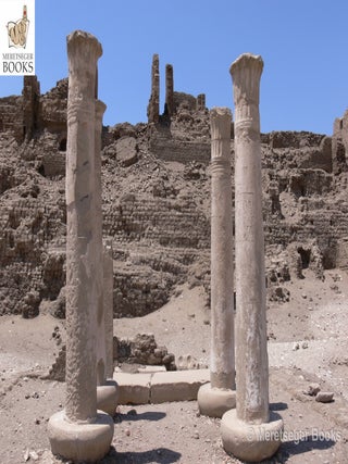 Medinet Habu-House of Butehamun-005