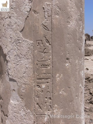 Medinet Habu-House of Butehamun-008
