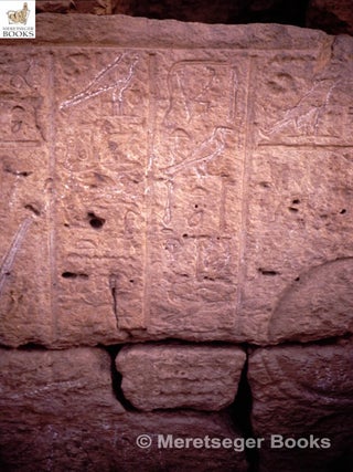 Shenhur-008