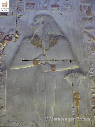 Abydos-Seti I-Osiris suite-043