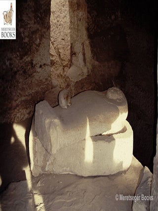 Sharuna-004