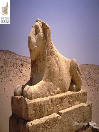 Tebtunis-004