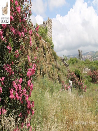 Byblos-Egyptian temple-002