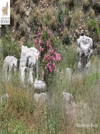 Byblos-Egyptian temple-003