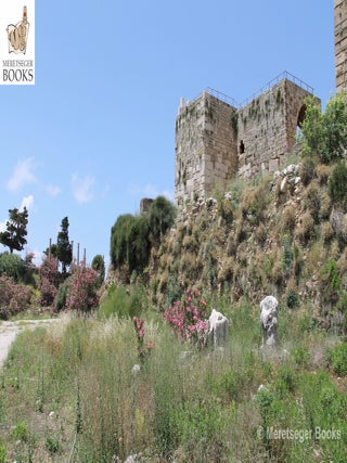 Byblos-Egyptian temple-006