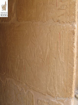 Niankhkhnum and Khnumhotep-019