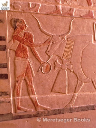Niankhkhnum and Khnumhotep-024