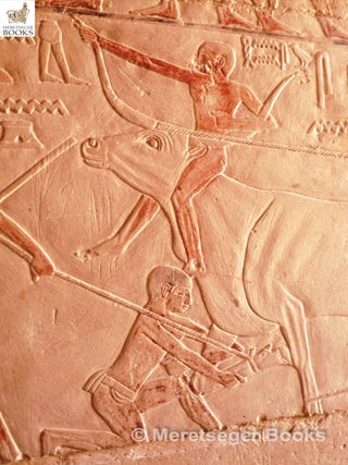 Niankhkhnum and Khnumhotep-025
