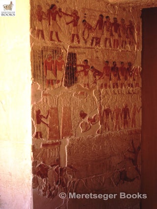 Niankhkhnum and Khnumhotep-027