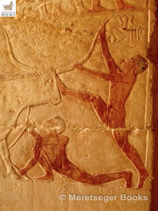 Niankhkhnum and Khnumhotep-028