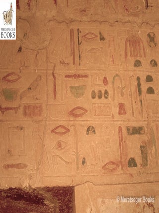 Niankhkhnum and Khnumhotep-045