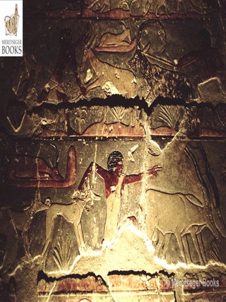 Niankhkhnum and Khnumhotep-055