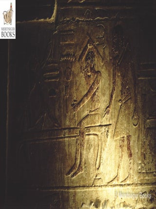 Niankhkhnum and Khnumhotep-069