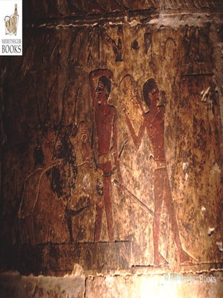 Niankhkhnum and Khnumhotep-071