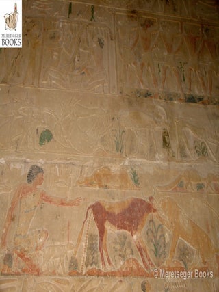 Ptahhetep-012