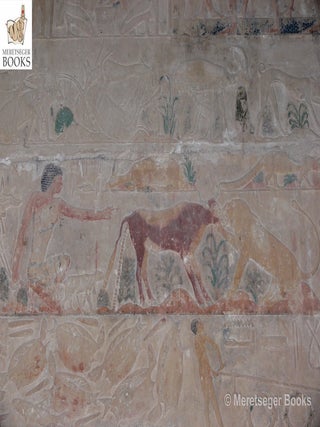 Ptahhetep-018